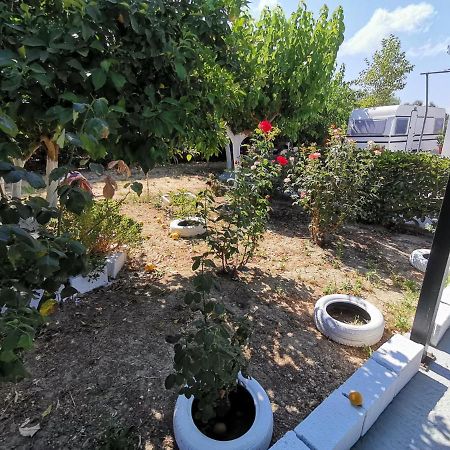 Hotel Green Garden Caravan Agrilia Exteriér fotografie